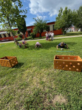 image0-41
