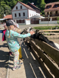 IMG_3154