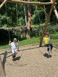 image1-50